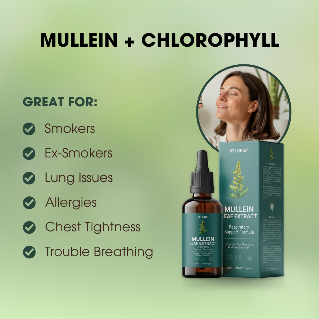 Heloris Mullein Leaf Extract | Respiratory Support Formula