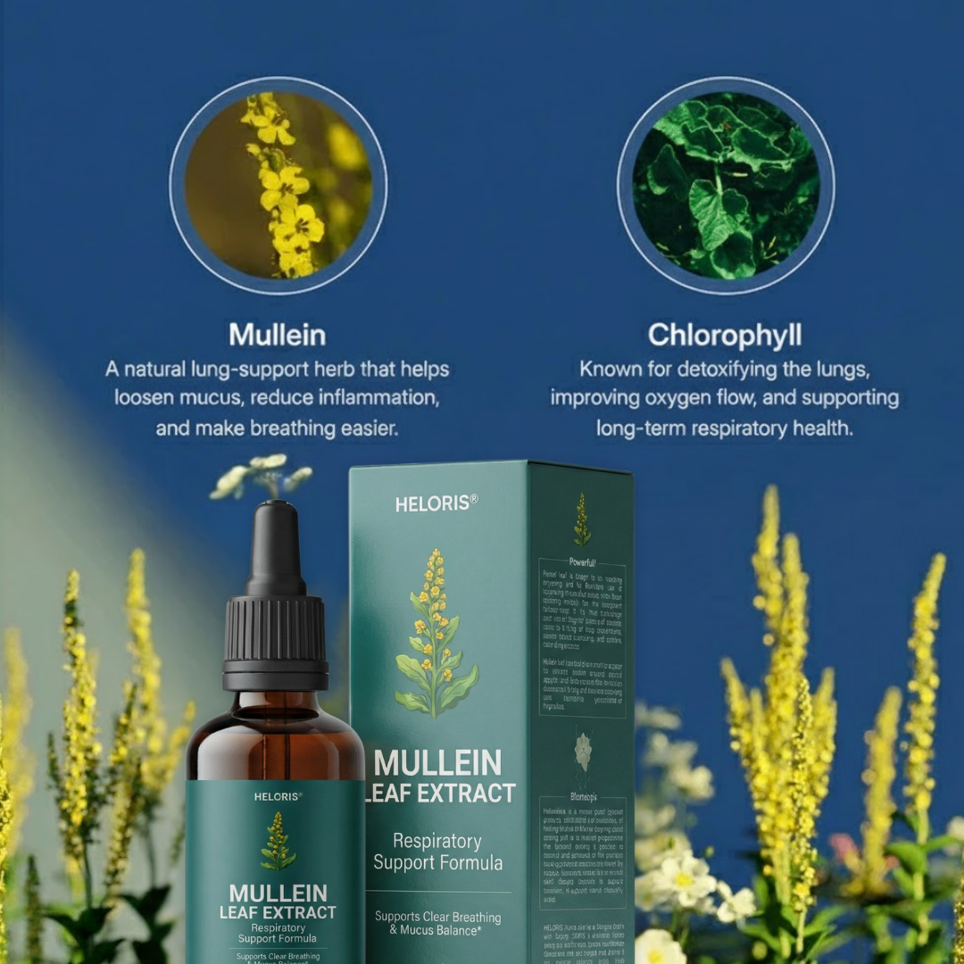 Heloris Mullein Leaf Extract | Respiratory Support Formula